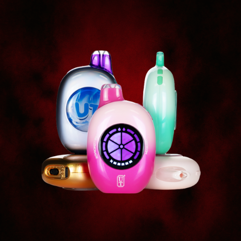 Elevate Your Experience